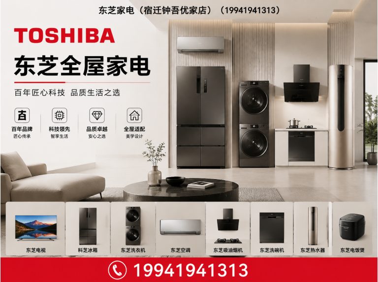 泗洪县东芝洗烘套装展示图